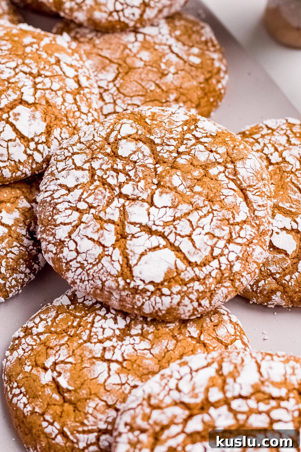 Close up of one cookie showing the powdered sugar and crinkles.