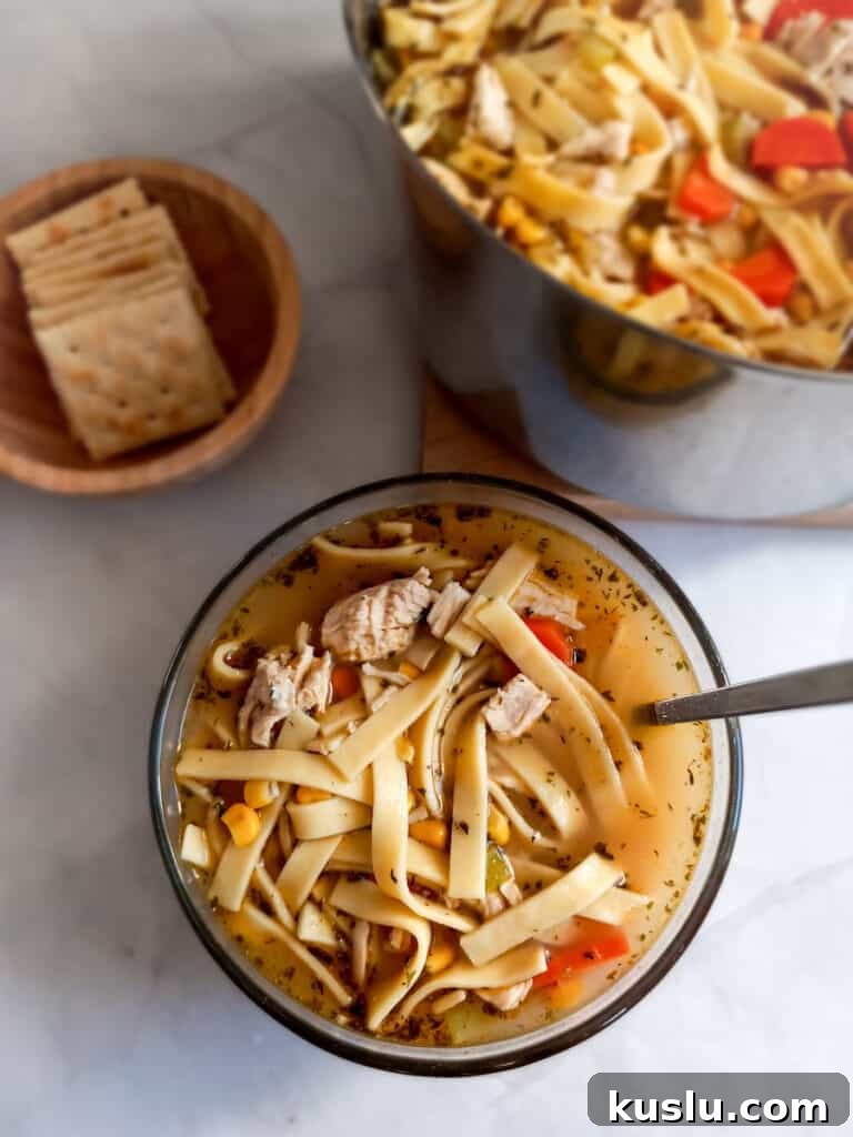 Amish Chicken and Corn Noodle Soup Recipe 5 a bowl and pot full of soup.