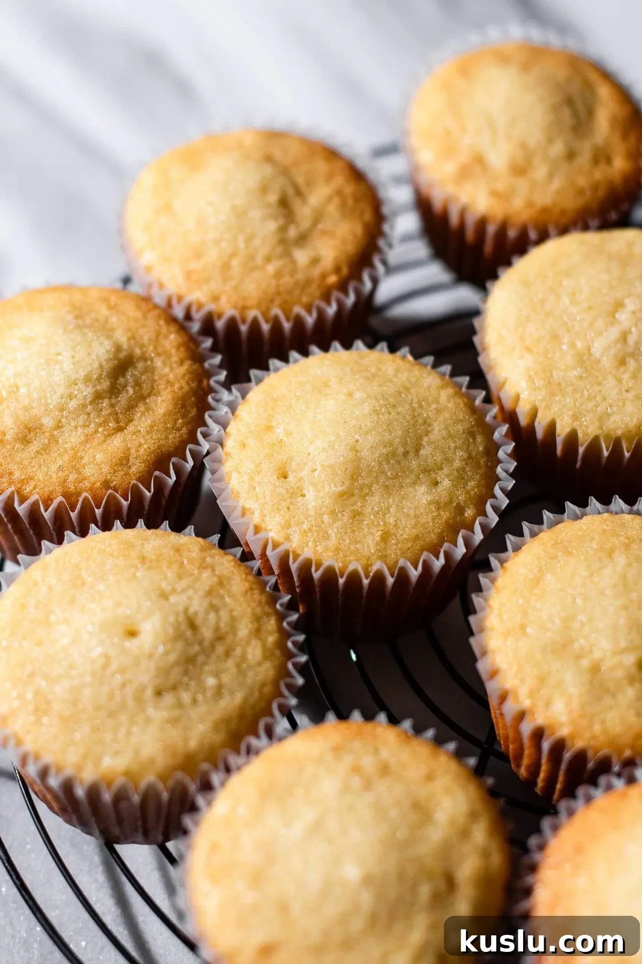 Classic Vanilla Cupcakes Recipe for Perfect Moist Cupcakes 4 baked best vanilla cupcakes on wire rack before frosting