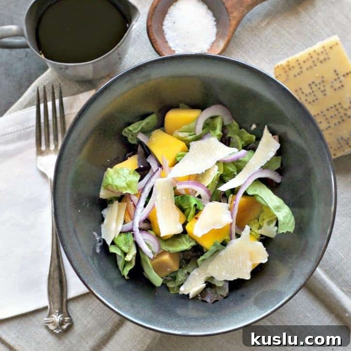 Balsamic Mango and Red Onion Salad with Mint and Lime 2 Balsamic Mango Red Onion Salad www.loavesanddishes.net