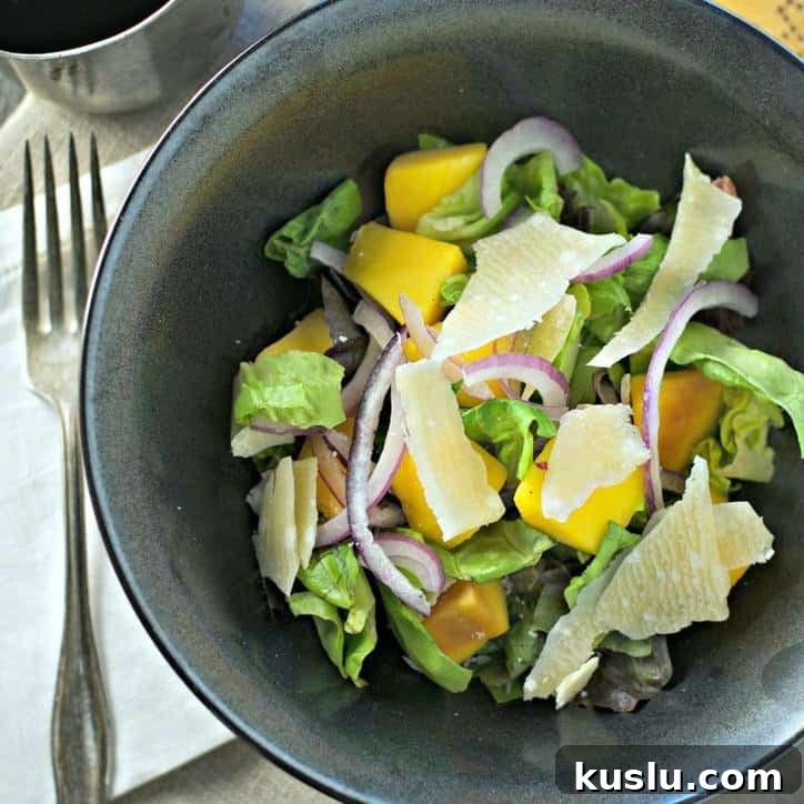 Balsamic Mango and Red Onion Salad with Mint and Lime 4 Balsamic Mango Red Onion Salad www.loavesanddishes.net
