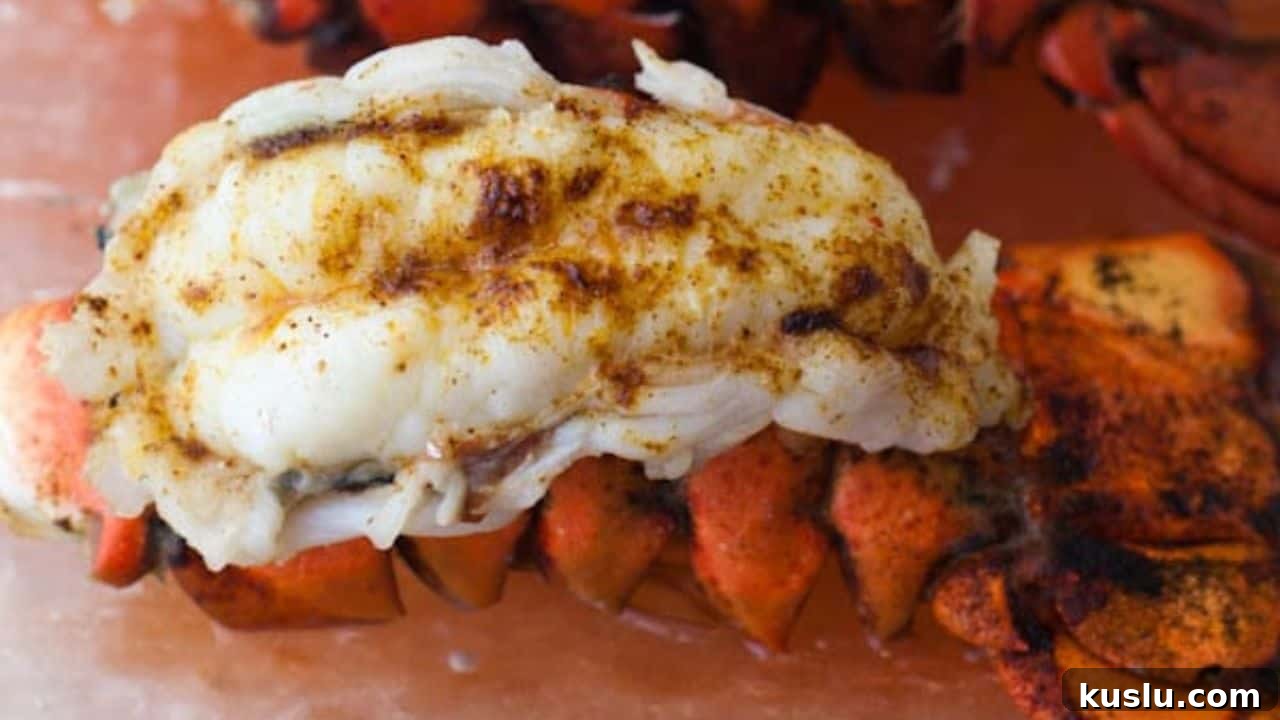 15 Irresistible Seafood Recipes You’ll Make Again and Again 7 Easy Broiled Lobster Tail