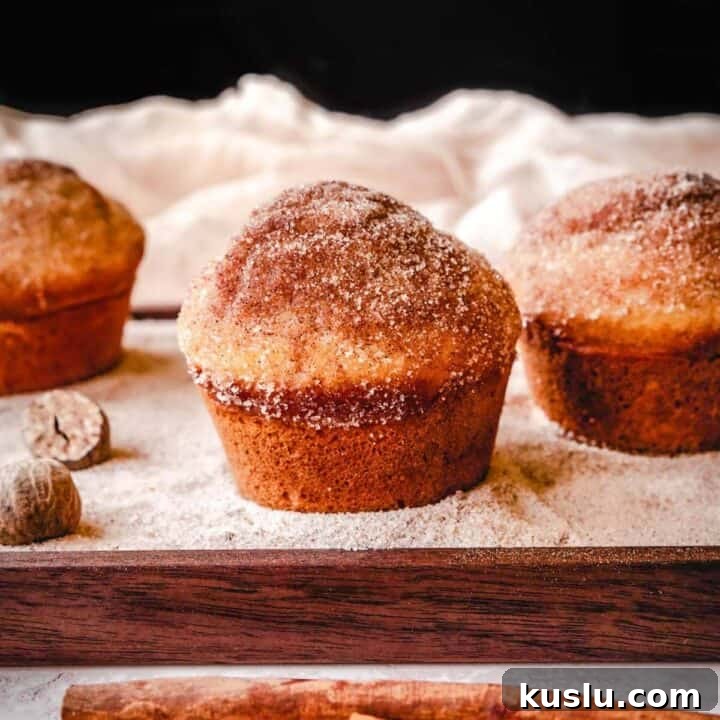 Cinnamon sugar donut muffins