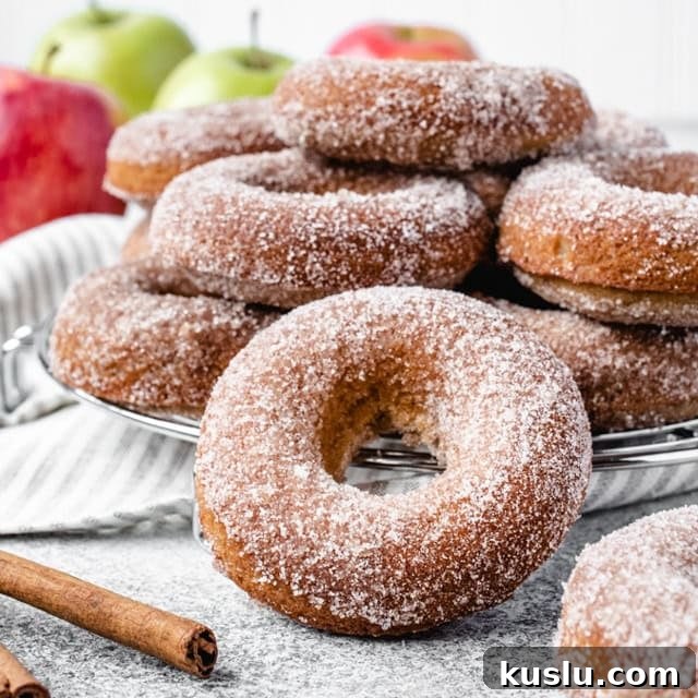 Baked Apple Cider Donuts