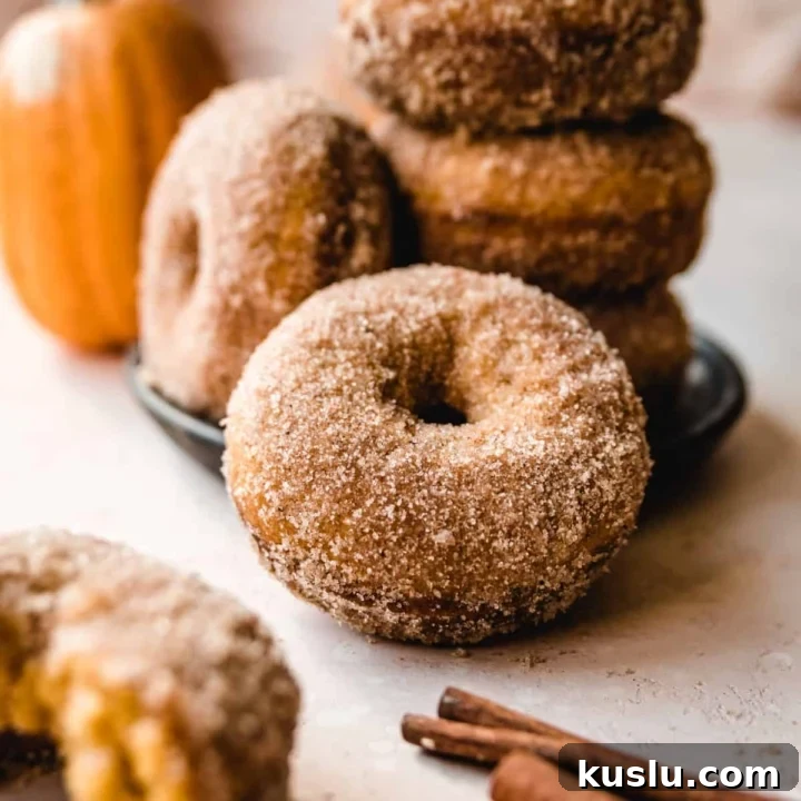 Pumpkin Cake Donuts
