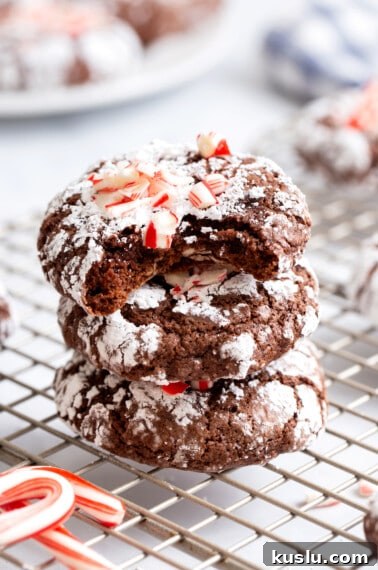 Chewy Chocolate Crinkle Cookies Recipe for Perfect Cracks 13 Three chocolate mint crinkle cookies stacked on top of each other, the top cookie missing a bite.