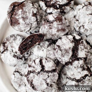 Chewy Chocolate Crinkle Cookies Recipe for Perfect Cracks 17 A plate of chocolate crinkle cookies.