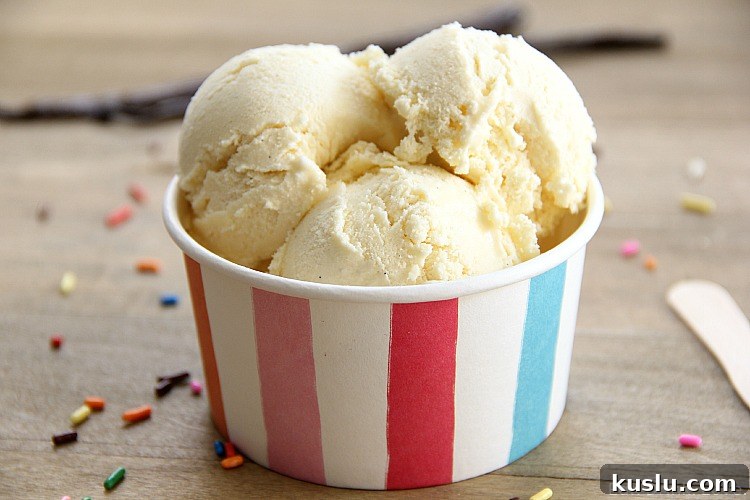 Low-Fat Vanilla Bean Ice Cream
