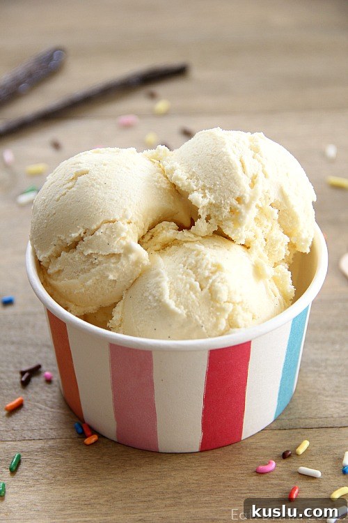 Low-Fat Vanilla Bean Ice Cream