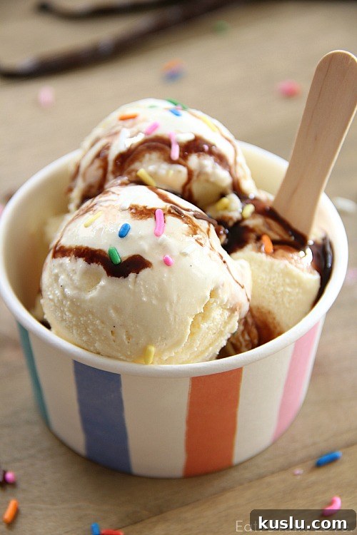Low-Fat Vanilla Bean Ice Cream