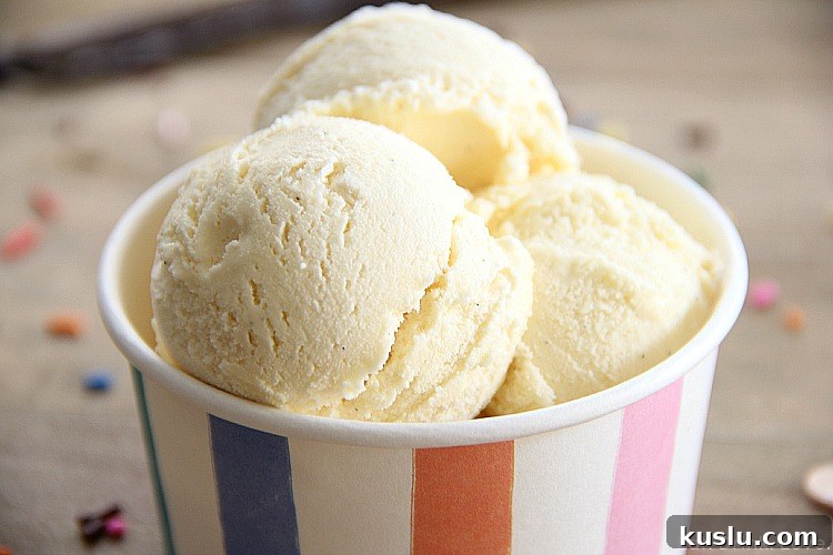Low-Fat Vanilla Bean Ice Cream