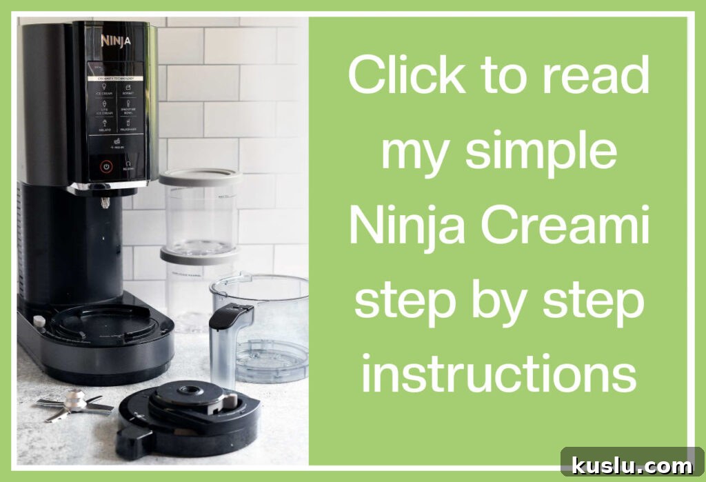Vegan Dole Whip for Ninja Creami — Refined Sugar-Free Recipe 3 img 45961 2