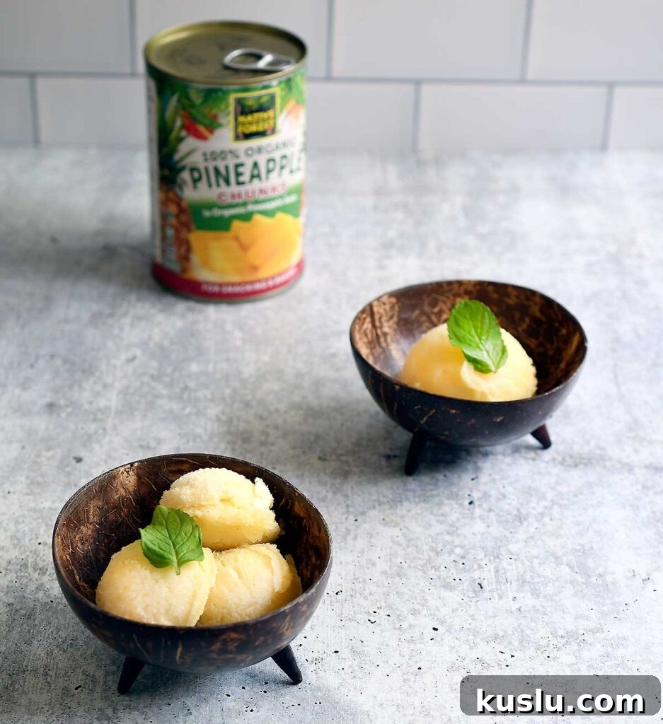 Vegan Dole Whip for Ninja Creami — Refined Sugar-Free Recipe 5 img 45961 4