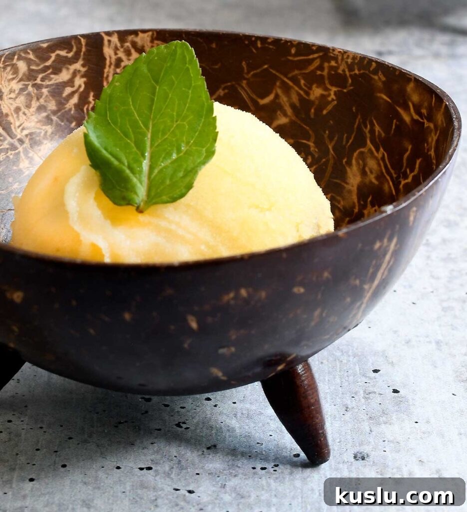 Vegan Dole Whip for Ninja Creami — Refined Sugar-Free Recipe 7 img 45961 6