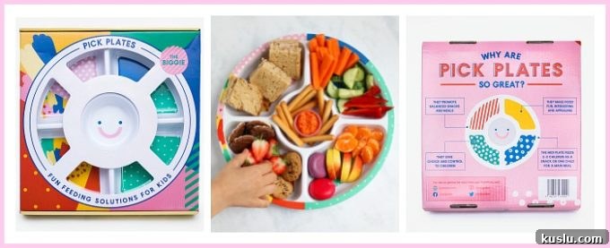 Cute Rice Cake Animal Recipes for Kids and Parties 2 Pick Plates Divided Plates For Kids