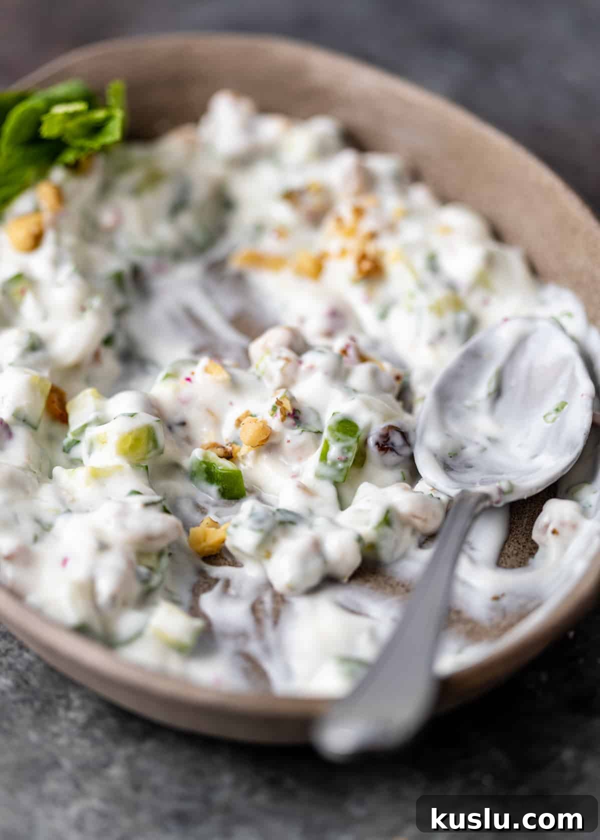 closeup: serving spoon in bowl of mast o khiar