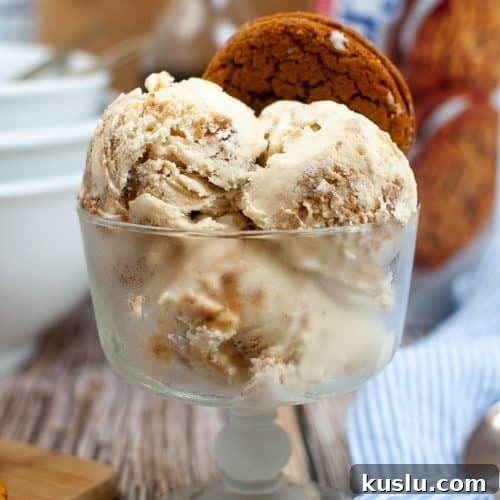 3 scoops of oatmeal ice cream in an ice cream cup