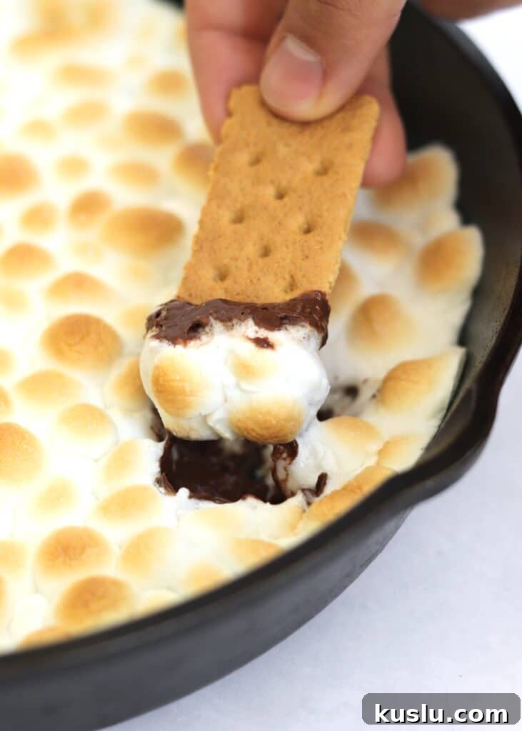 Graham cracker dipping into melted chocolate and toasted marshmallow