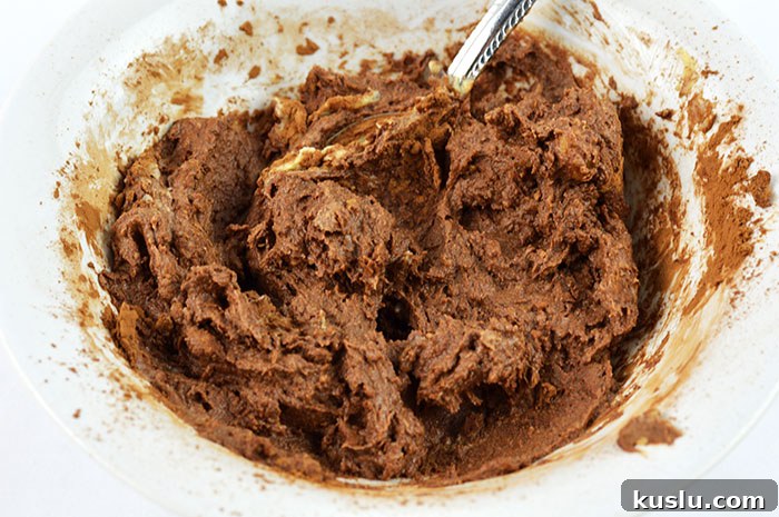 chocolate hummus mixing