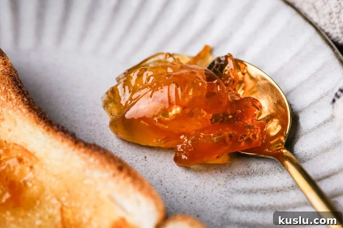 Teaspoonful of marmalade on plate showing perfect set.