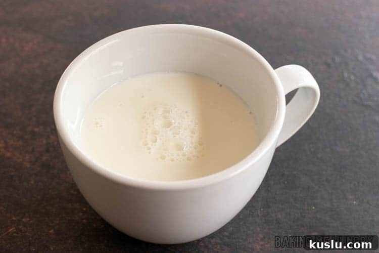 Rich Chocolate Chip Hot Cocoa Recipe for Cozy Evenings 5 mug with whole milk