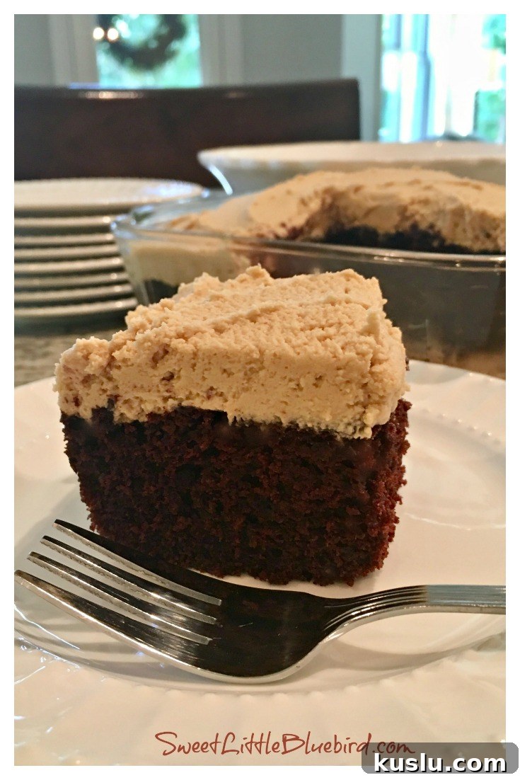 Ultimate Chocolate Peanut Butter Crazy Cake Recipe 2 Chocolate Peanut Butter Crazy Cake - Sweet Little Bluebird