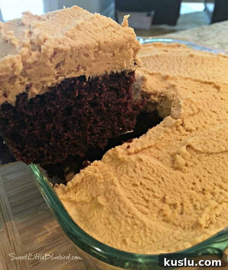 Ultimate Chocolate Peanut Butter Crazy Cake Recipe 3 Chocolate Peanut Butter Crazy Cake - Sweet Little Bluebird