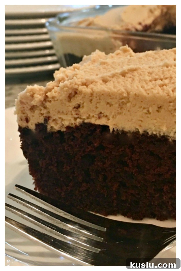 Ultimate Chocolate Peanut Butter Crazy Cake Recipe 4 img 5964 3
