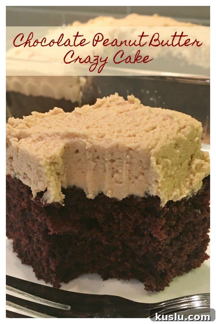 Ultimate Chocolate Peanut Butter Crazy Cake Recipe 5 Chocolate Peanut Butter Crazy Cake