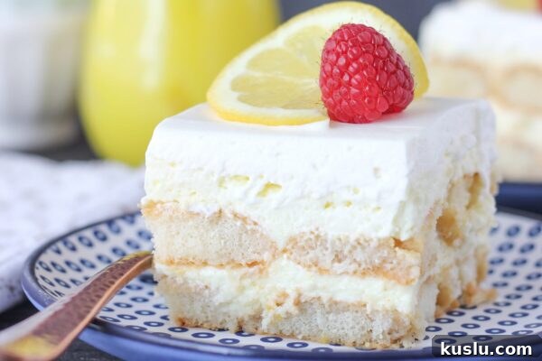 9 Refreshing No-Bake Summer Desserts to Beat the Heat 3 img 6003 2