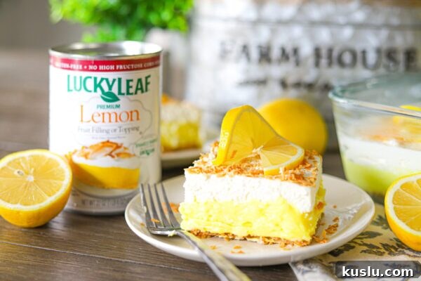 9 Refreshing No-Bake Summer Desserts to Beat the Heat 5 img 6003 4