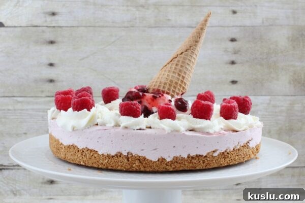 9 Refreshing No-Bake Summer Desserts to Beat the Heat 8 img 6003 7