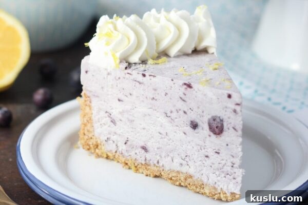 9 Refreshing No-Bake Summer Desserts to Beat the Heat 10 img 6003 9