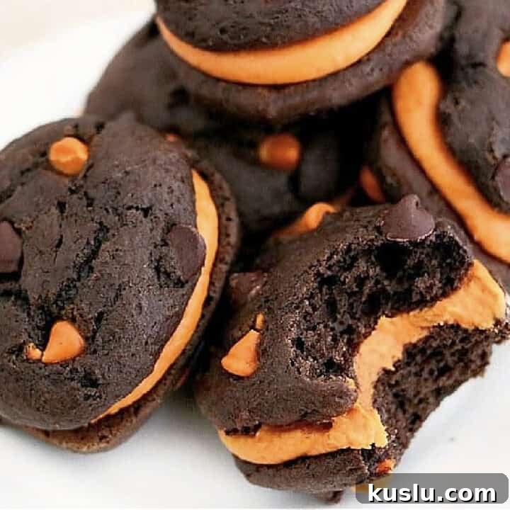 chocolate maine whoopie pies with pumpkin on plate.