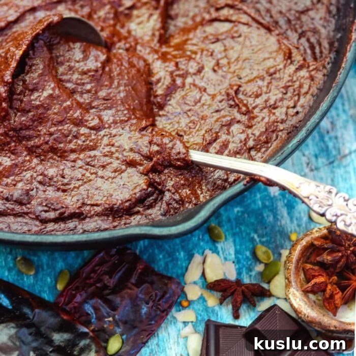 Mole sauce in an iron skillet with a silver ladle