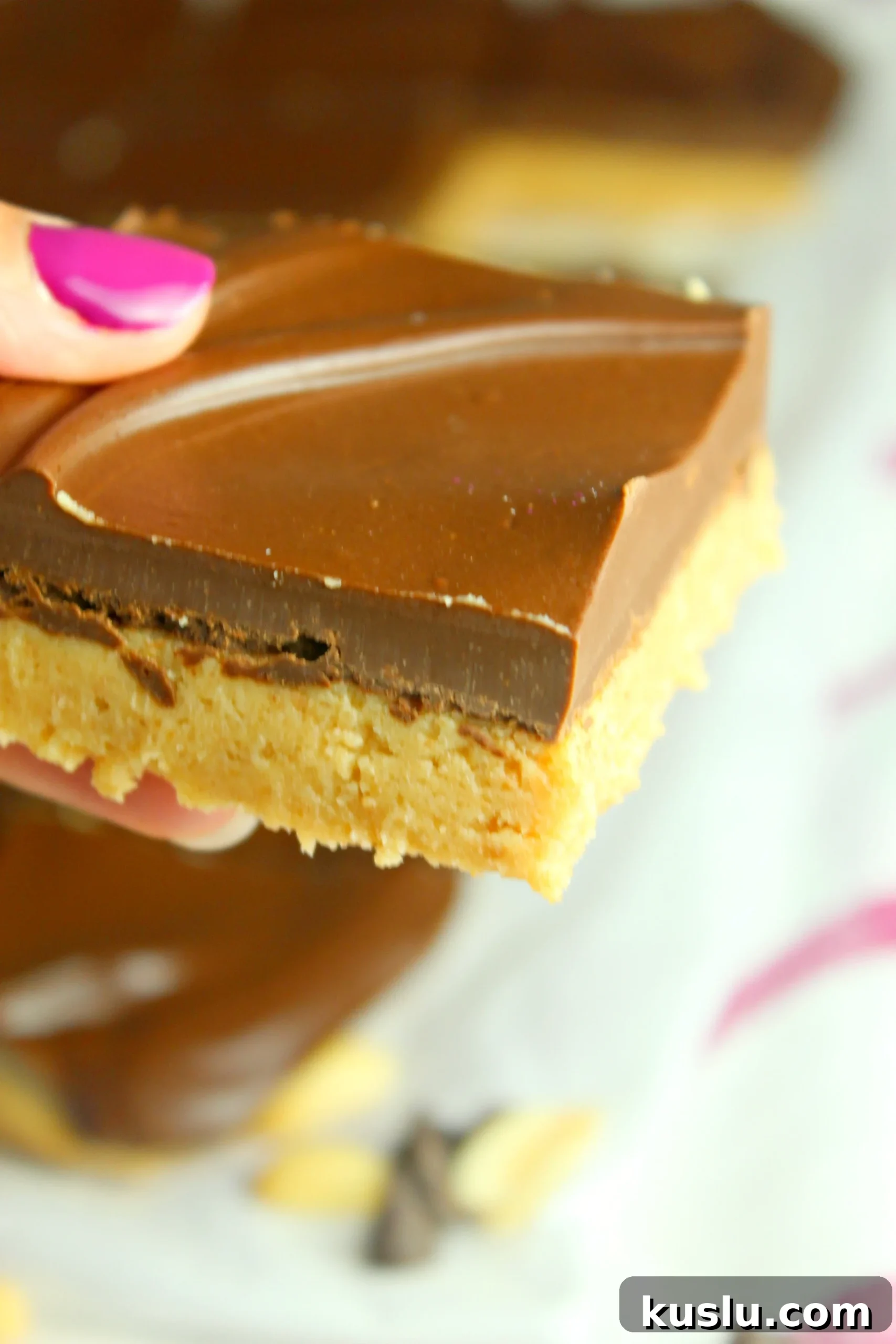 Peanut butter bars closeup