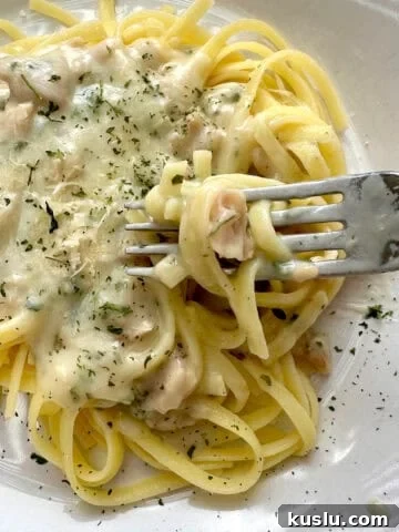 Pasta topped with white clam sauce on a plate.