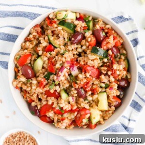 A bowl filled with grains, vegetables, and olives.