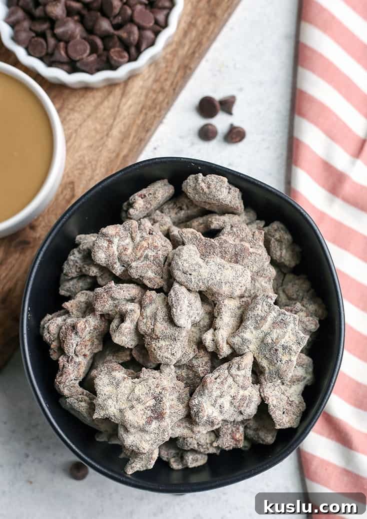 These Paleo Nut-Free Muddy Buddies (also known as Puppy Chow) are easy to make and so delicious. A chocolate and SunButter mixture poured over sunflower seeds and dusted with maple sugar. They are gluten free, dairy free, vegan, and naturally sweetened. These Paleo Nut-Free Muddy Buddies (also known as Puppy Chow) are easy to make and so delicious. A chocolate and SunButter mixture poured over sunflower seeds and dusted with maple sugar. They are gluten free, dairy free, vegan, and naturally sweetened.