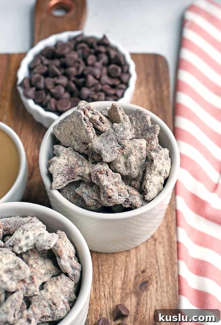 These Paleo Nut-Free Muddy Buddies (also known as Puppy Chow) are easy to make and so delicious. A chocolate and SunButter mixture poured over sunflower seeds and dusted with maple sugar. They are gluten free, dairy free, vegan, and naturally sweetened. These Paleo Nut-Free Muddy Buddies (also known as Puppy Chow) are easy to make and so delicious. A chocolate and SunButter mixture poured over sunflower seeds and dusted with maple sugar. They are gluten free, dairy free, vegan, and naturally sweetened.