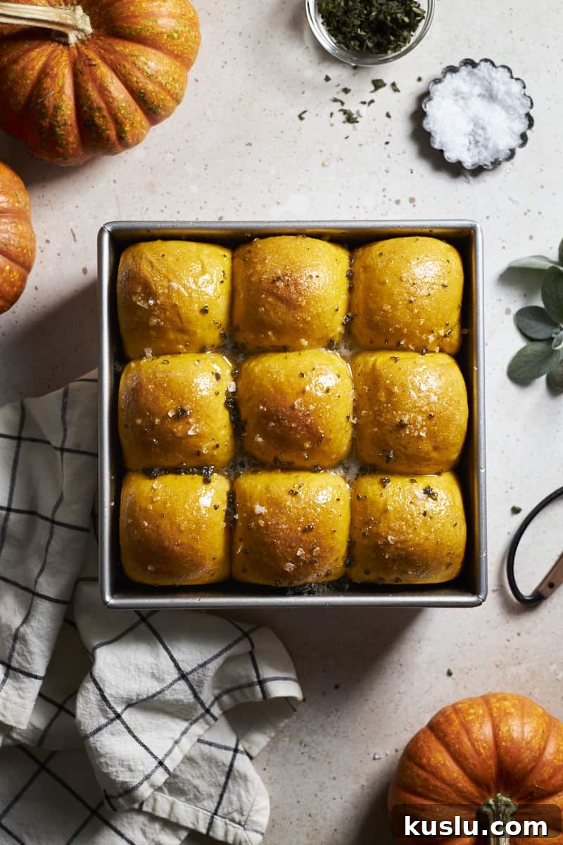 Overhead view of Sourdough Discard Pumpkin Dinner Rolls in a baking pan.