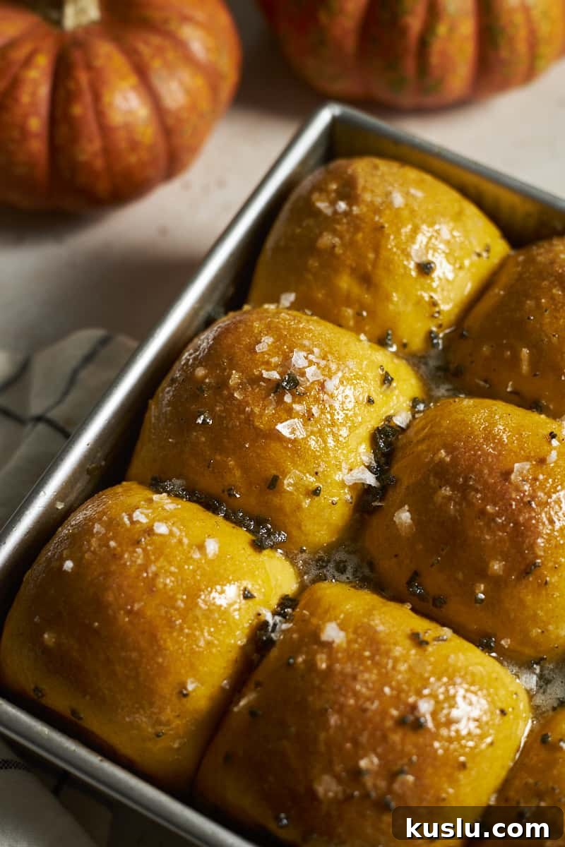 Closeup of Sourdough Discard Pumpkin Dinner Rolls in a baking pan.
