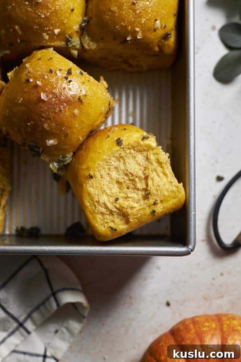 Side view of Sourdough Discard Pumpkin Dinner Rolls in a baking pan.