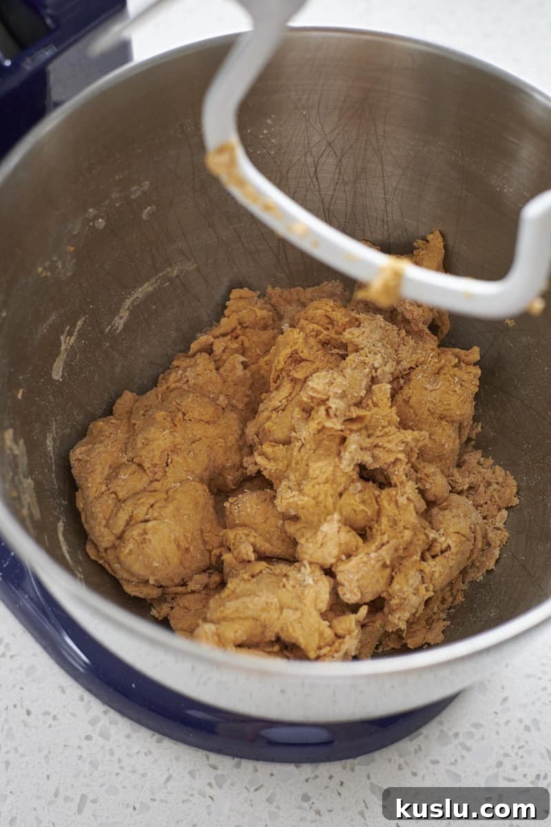Shaggy dough in the bowl of a stand mixer.