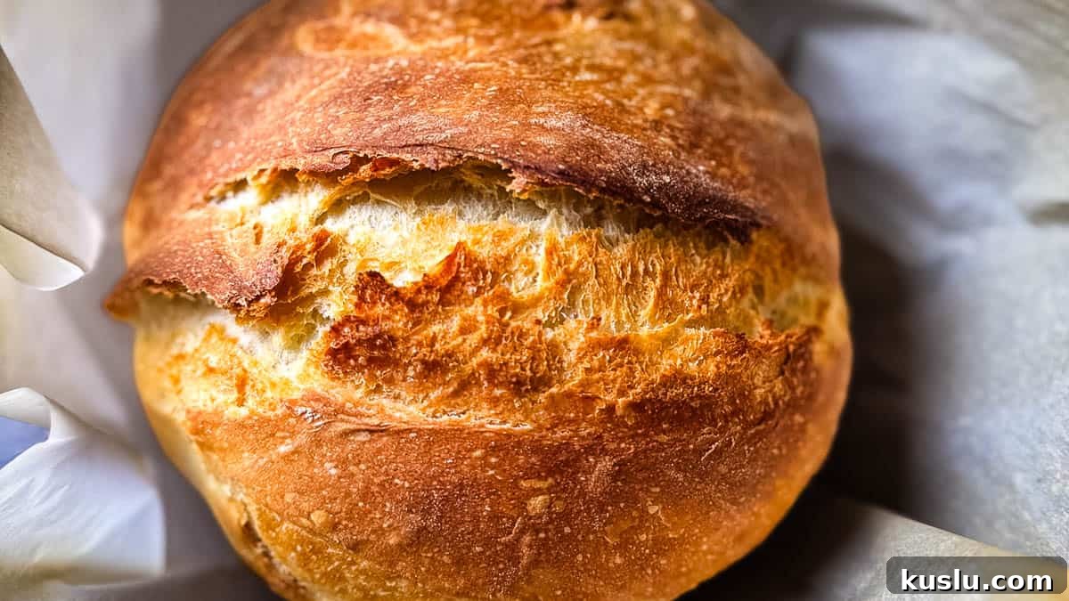 Sourdough Discard Recipes You’ll Want to Make Again and Again 2 Freshly baked sourdough discard bread loaf with a crisp, golden-brown crust and rustic scoring.
