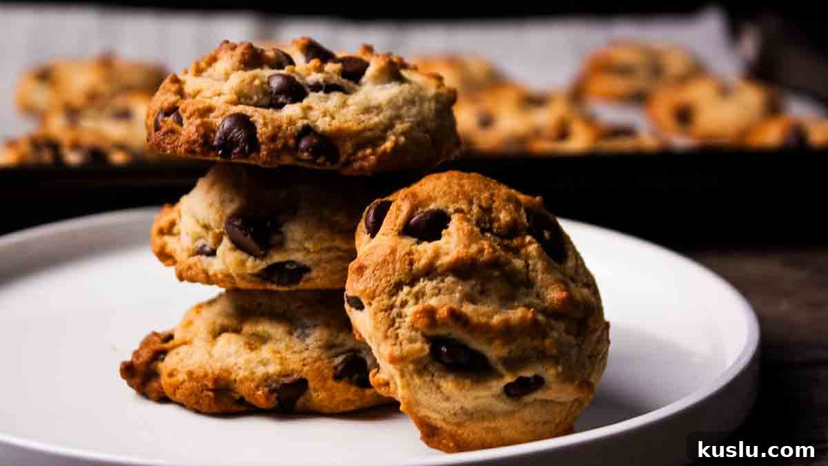 Sourdough Discard Recipes You’ll Want to Make Again and Again 6 Homemade Sourdough Discard Chocolate Chip Cookies on dessert plate.