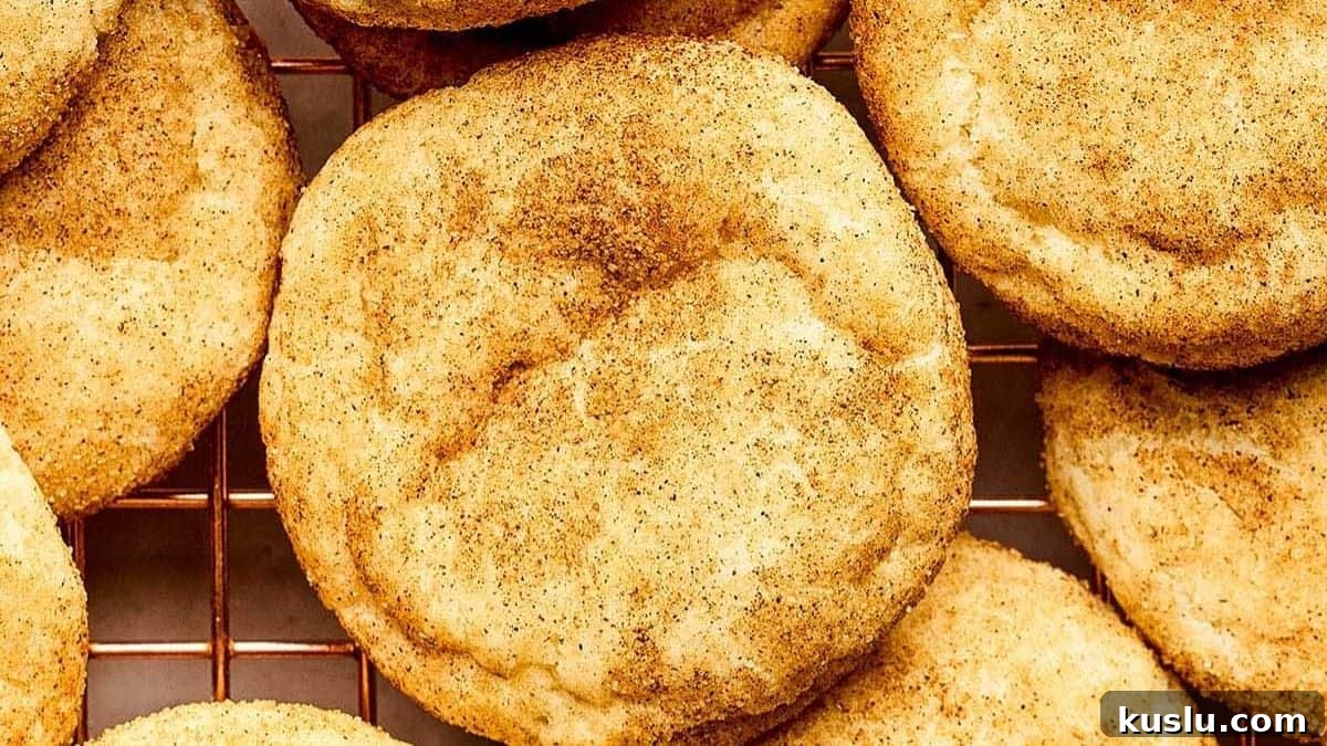 Sourdough Discard Recipes You’ll Want to Make Again and Again 10 Sourdough snickerdoodle cookies coated in cinnamon sugar cooling on a wire rack.