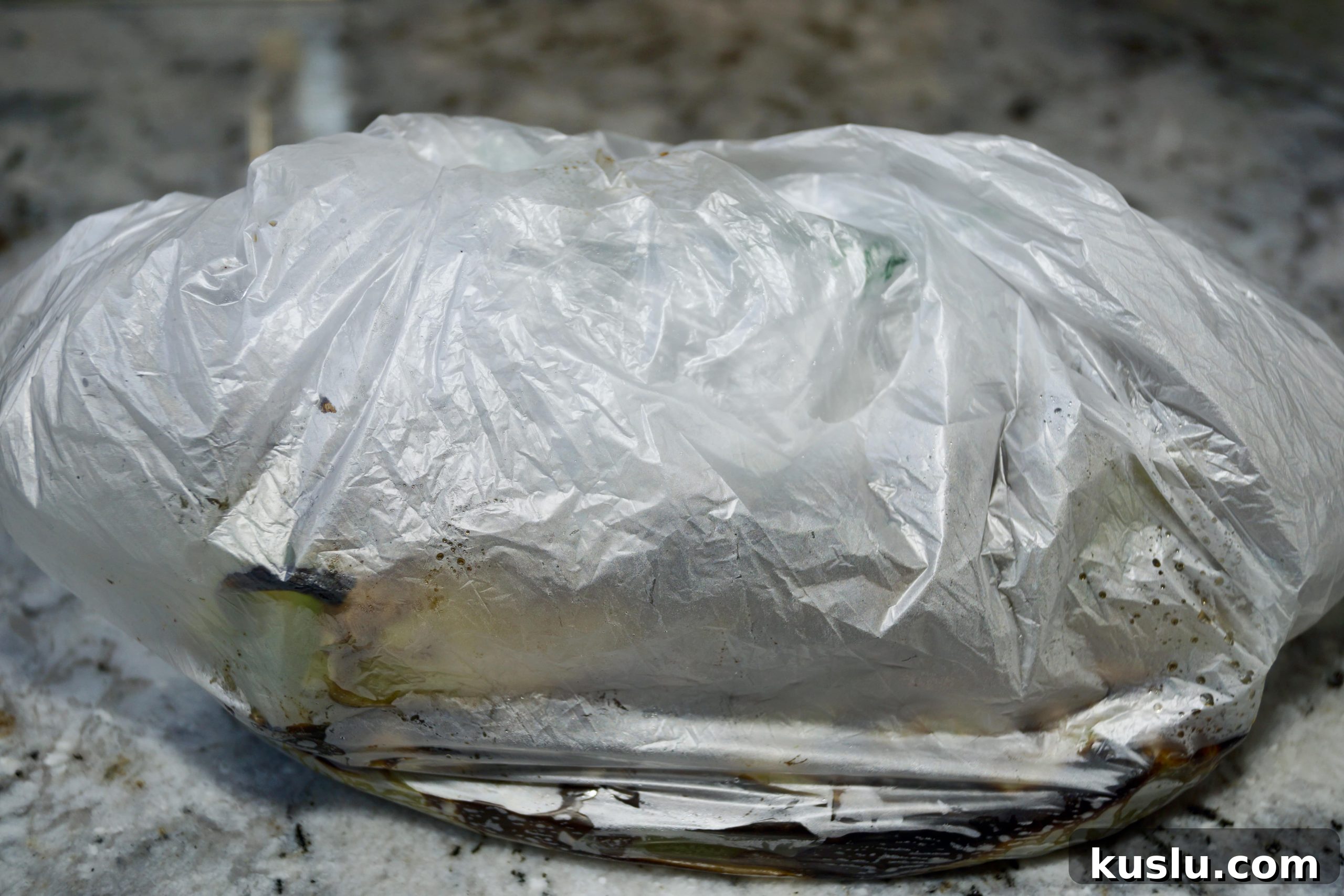 How to Roast Green Chiles at Home: Simple, Crispy Methods 8 Roasted green chiles in bag #roastedgreenchiles