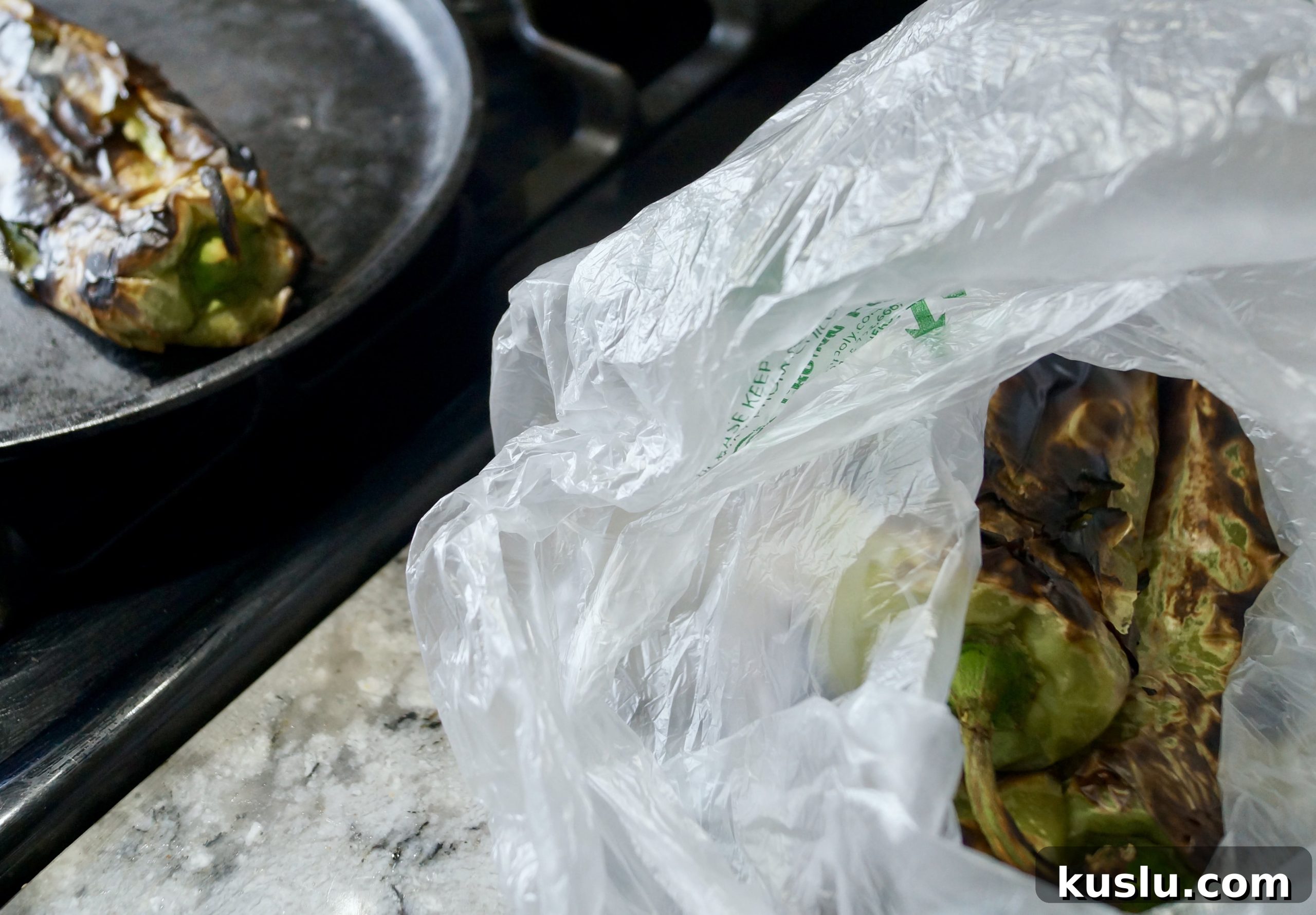 How to Roast Green Chiles at Home: Simple, Crispy Methods 5 Roasted green chiles in bag #roastedgreenchiles