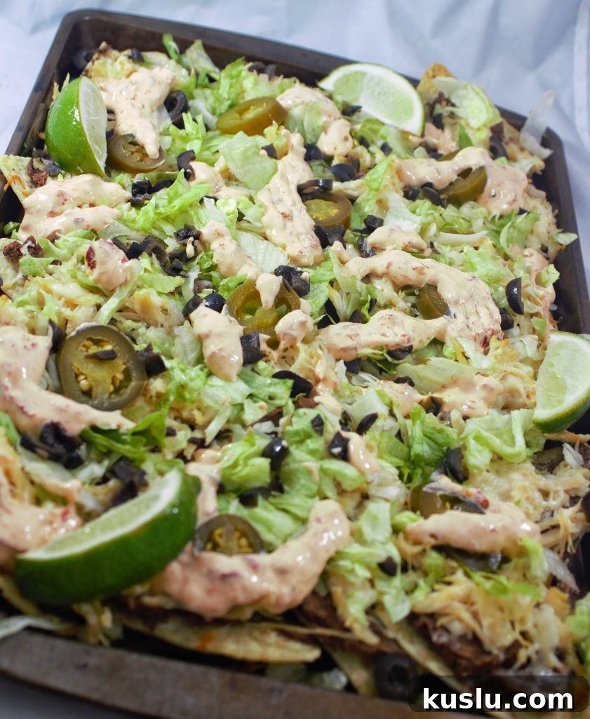 Black Bean and Chicken Nachos